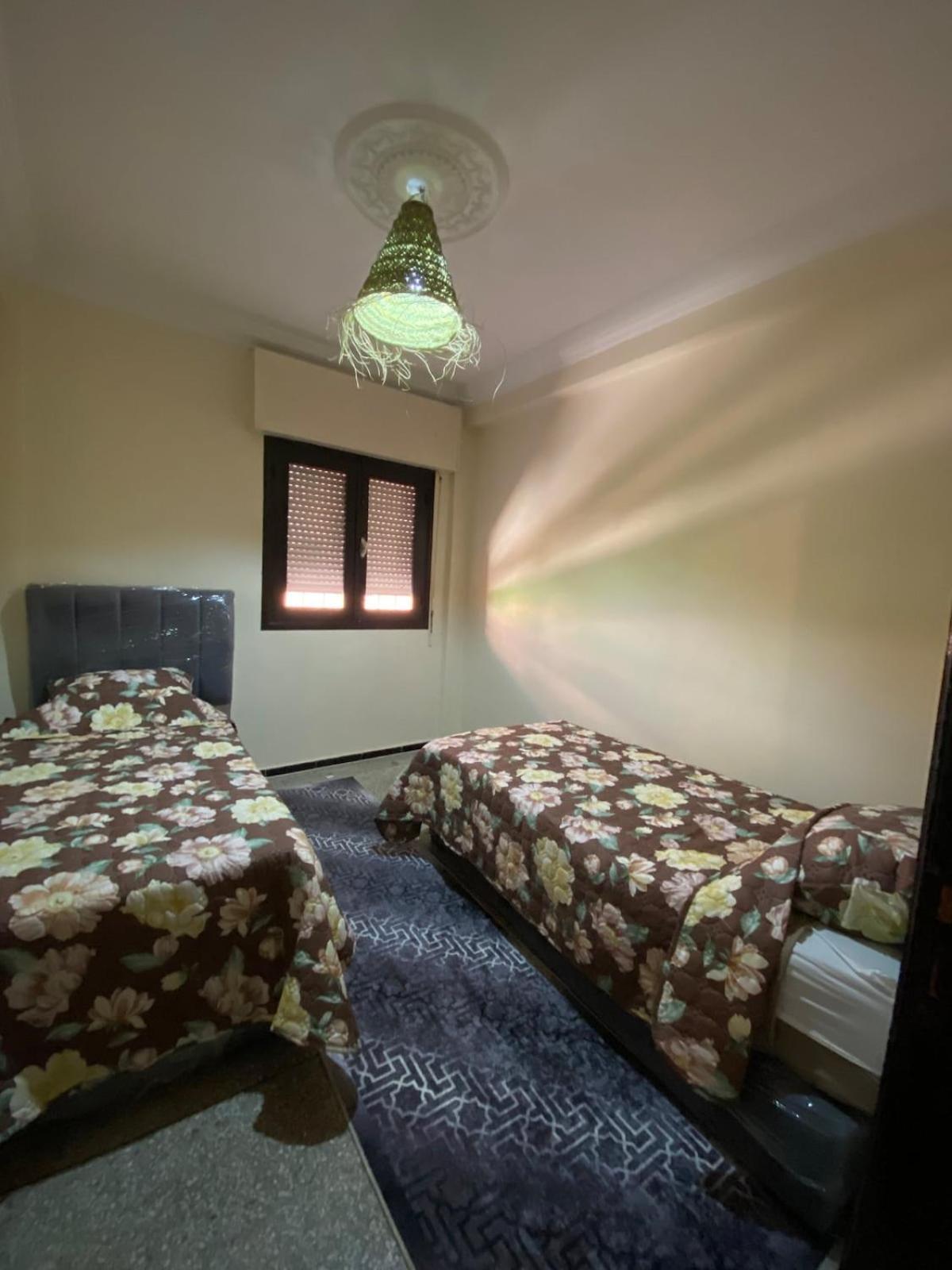 Comfortable Two Bedroom Flat Appartement